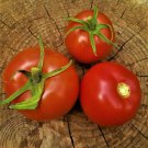 Arkansas Traveler Tomato Seeds Vegetable Seeds Seed Packets Ozark