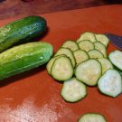 Cucumber Marketmore 76 Slicing Cucumber Seeds Vegetable
