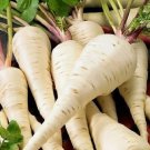 Harris Model Parsnip Seeds Vegetable Seeds Seeds