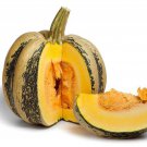 American Tondo Winter Squash Seeds Vegetable Seeds Italian Ribbed