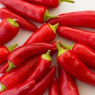 Mirasol Mosco Pueblo Chile Pepper Rare Colorado Hot Pepper Seeds Pointed At Sun Productive Short Sea