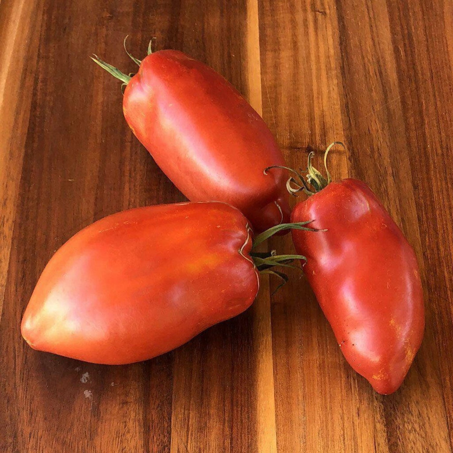 Federle Paste Tomato Determinate 20 Seeds Grown To Organic Standards