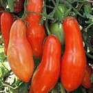 Sausage Paste Tomato Seeds Grown To Organic Standards 5 Inch Long Prolific