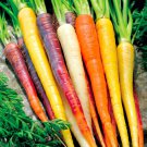 Rainbow Carrot Mix