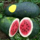 Watermelonmoon And Stars Amish Seeds