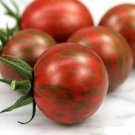 Artisan Purple Bumblebee Cherry Tomato 15 20 Seeds Grown To Organic Standards