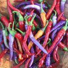 Buena Mulata Hot Pepper Seeds Vegetable Seeds Rare Seeds Many Colors