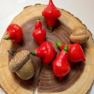 Spinning Top Hot Pepper Smoky Sweet Hot Pepper Seeds Naturally And Organically Grown
