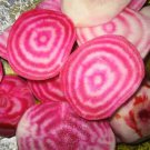 Beets Chiogga Beet Seeds Vegetable Seeds