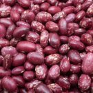 Early Warwick Dry Bush Bean Seeds Grown To Organic Standards English