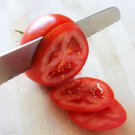 Nevsky Dwarf Tomato Russian 20 Seeds Grown To Organic Standards
