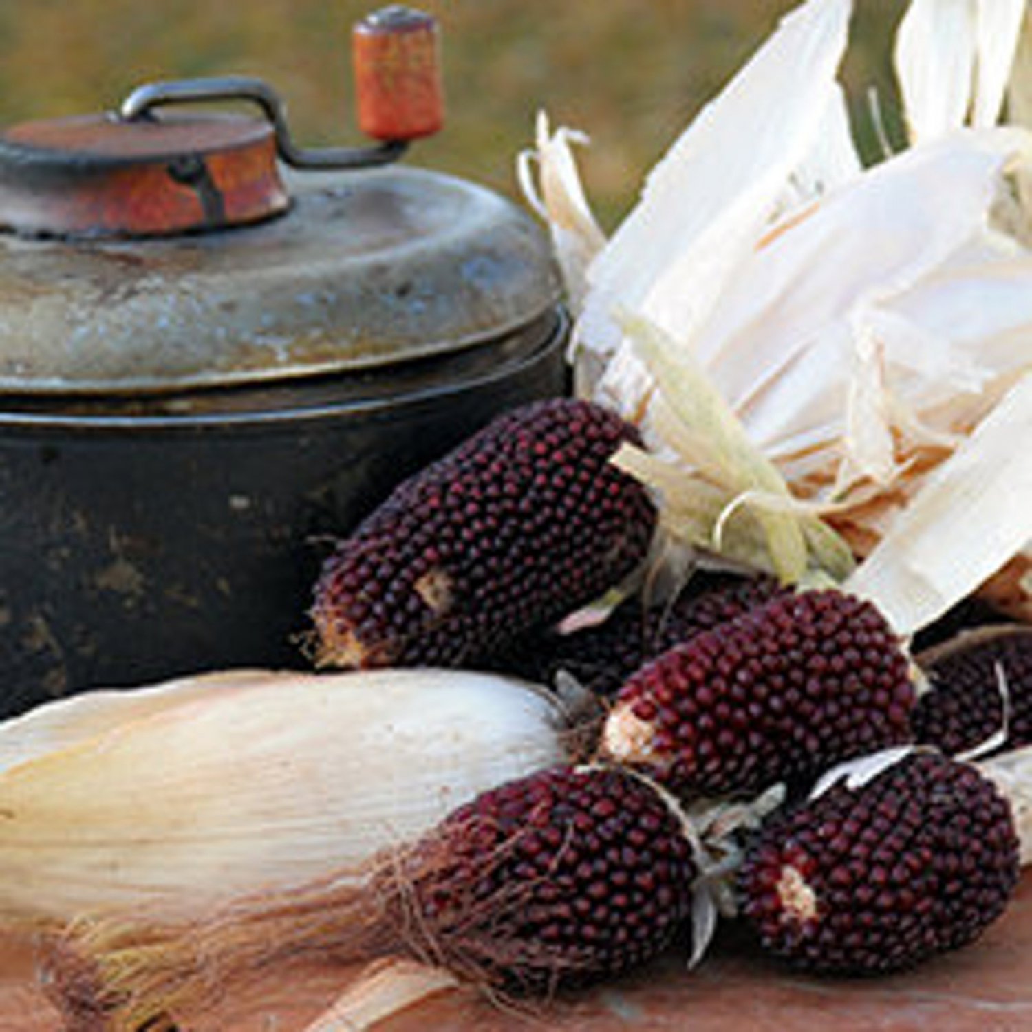 Strawberry Popcorn Seeds Grow Your Own Popcorn Snack