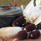 Strawberry Popcorn Seeds Grow Your Own Popcorn Snack