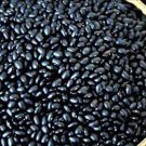 Black Coco Dry Bush Bean Seeds Grown To Organic Standards Rare Dry Soup Bean Seed