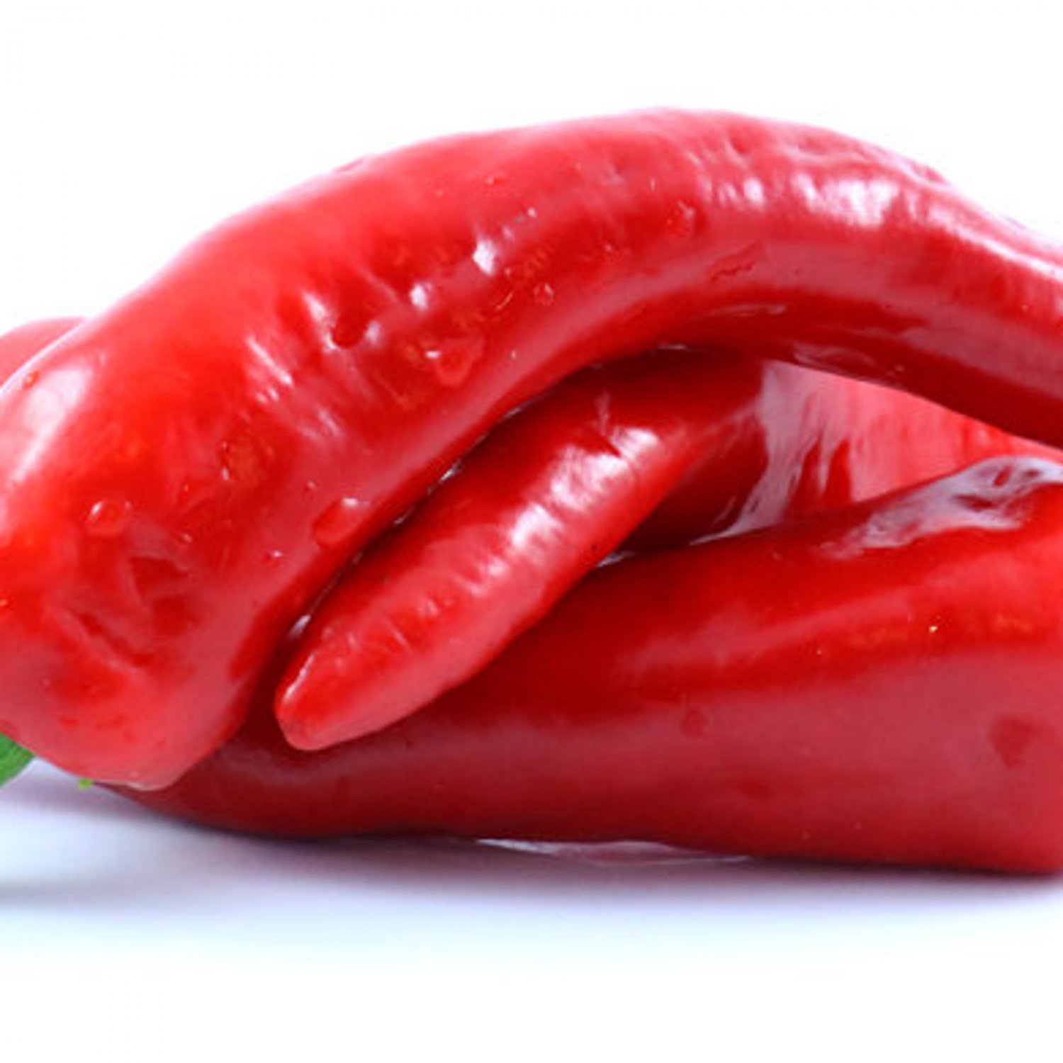 Gernika Sweet Pepper Basque Seeds Aka Choricero Txorixero Naturally Grown Mountain Adapted