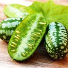 Cucamelon Mouse Melon Mexican Sour Gherkin 20 Seeds Vegetable Seeds