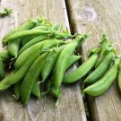 Cascadia Snap Pea Seeds Early Heavy Yields Delicious