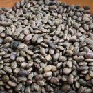 Moro Dry Bush Bean Mexican Seed Rare Hard To Find Beautiful Granite Markings Organically Grown