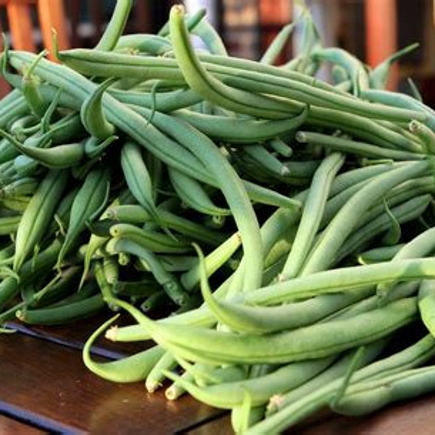 Blue Lake Pole Snap Bean 50 Seeds Vegetable Seeds Snap Bean Seed Packets
