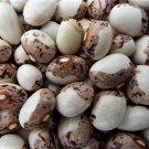 Papa Di Rola Semipole Bean Seeds Vegetable Seeds Seed Seed Packet Portuguese