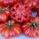 Rosso Sicilian Paste Tomato Seeds Vegetable Seeds Seed Packets Rare