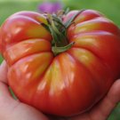 Marmande Beefsteak Tomato Seeds Vegetable Seeds Seed Packets French