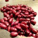 Hidatsa Red Dry Bush Bean Seeds Vegetable Seeds Seed Packets American