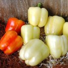 White Cloud Sweet Bell Pepper Seeds Vegetable Seeds Seed Packets Hard To Find