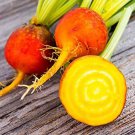 Golden Detroit Beets 200 Seeds Vegetable Seeds Seed Packets