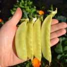 Golden Sweet Snow Pea Seeds Vegetable Seeds Seed Packets Indian