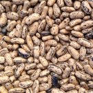 Brightstone Bush Dry Bean Seeds Vegetable Seeds Seed Packets English
