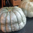 New Zealand Blue Winter Squash Seeds Naturally Grown Seed Packets