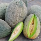 Bateekh Samara Melon 25 Rare Seeds Vegetable Seeds Seed Packets 1000 Years