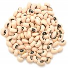 Fast Lady Northern Southern Cowpea Pea Rare And Hardtofind Dry Bush Seeds Northern And Short Season 