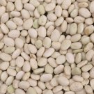 White Tepary Bush Dry Bean 60 Seeds Vegetable Seeds Seed Packets Bean