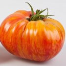 Gold Medal Tomato Seeds Vegetable Seeds Seed Packets