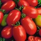 Napoli Paste Tomato 20 Italian Seeds Vegetable Seeds Seed Packets