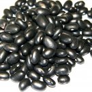 Black Turtle Bush Bean Seeds Vegetable Seeds Seed Packets Latin Variety