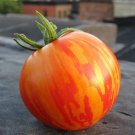 Red Zebra Tomato Seeds Vegetable Seeds Seed Packets