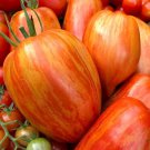 Speck Roman Paste Tomato Seeds Vegetable Seeds Seed Packets Bicolored