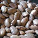 Rebosero Dry Bush Bean Aka Shawl Bean Seeds Mexican Great For Refried Beans