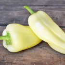 Toyozhini Sweet Pepper Rare Siberian Origin Sweet Pepper Organically Grown Very Early Ripening Cold 