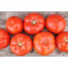Trophy Tomato Seeds Vegetable Seeds Seed Packets