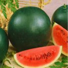 Sugar Baby Watermelon Watermelon Seeds Vegetable Seeds Seed Packets