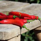 Aji Colorado Hot Pepper Seeds Vegetable Seeds Seed Packets South American