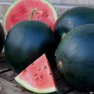 Blacktail Mountain Watermelon Watermelon Seeds Vegetable Seeds Seed Packets