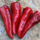Italia Sweet Italian Pepper Rare Sweet Italian Pepper Naturally And Organically Grown Frying Grillin