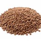 Puglia Lentils Italian Seeds Grown To Organic Standards Indian Daal Vegan Brown Pulse