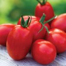 Thai Grape Tomato Seeds Vegetable Seeds Seed Packets