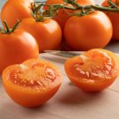 Valencia Tomato Seeds Grown To Organic Standards